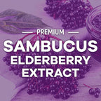 Elderberry Gummies - 3X Strength Black Elderberry Immune Support Gummy with Vitamin C, D3 and Zinc for Kids & Adults, Immune Health Support Supplement Gummy, Black Elder Berry Vitamins - 60 Gummies
