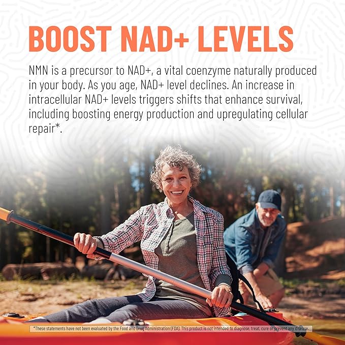Arcwell NMN (Nicotinamide Mononucleotide) 250 mg per Capsule | NAD+ Boost Supplement | 99% Ultra Pure NMN | Supports Cellular Health & Energy Production (60 Veggie Caps)