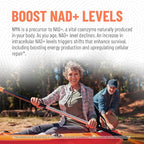 Arcwell NMN (Nicotinamide Mononucleotide) 250 mg per Capsule | NAD+ Boost Supplement | 99% Ultra Pure NMN | Supports Cellular Health & Energy Production (60 Veggie Caps)