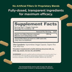The Genius Brand Genius Lion's Mane - Plant-Based Supplement for Memory, Focus & Mood Support - Organic & Non-GMO - 120 Veggie Capsules