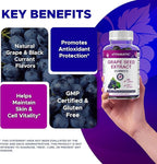 Vitamatic Grape Seed Extract Gummies – Plant-Based Botanical Extract – Natural Grape & Black Currant Flavor – Vegan, Non-GMO – Herbal Supplement – 60 Gummies - 2 Pack