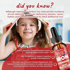 2 Pack Liquid Iron Supplement for Kids & Women Men - with Magnesium, Zinc & Kids Multivitamin Iron Drops - Immune, Blood Builder & Energy Support for Iron Deficiency, Anemia