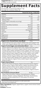 Garden of Life Raw Organic Perfect Food Green Superfood Juiced Greens Powder - Apple Flavor,30 Servings - Vegan Gluten Free Whole Food Dietary Supplement,Greens Plus Probiotics & Enzymes,(Pack of 2)