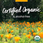 Herb Pharm Kids Certified-Organic Alcohol-Free Immune Avenger Herbal Formula, 1 Ounce (Pack of 2)