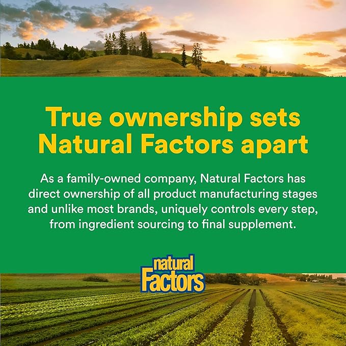 Natural Factors, High Potency Multi Enzyme Vegetarian Formula, Plant-Based Digestive Aid, 120 Capsules