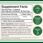 Bacopa Monnieri Capsules 20% Bacosides 450mg, 90 Count (Non-GMO, Gluten Free) Brahmi Extract (Memory Supplement for Brain Health, Focus, and Cognitive Function) by Double Wood