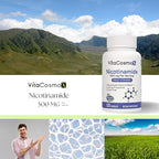 Nicotinamide 500mg Vitamin B3, 120 Capsules - Non-GMO, Gluten Free, Flush Free- 2 Packs