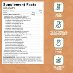 Daily Probiotic | 20 Billion CFU | Multi-Strain with Prebiotic + Postbiotic | Gut Health & Digestion Support | Vegan | 30 Capsules