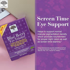 NEW NORDIC Eye & Joint Support Bundle, Blue Berry Eye Vitamin 60s Plus Turmeric Gummies Supplement 60s