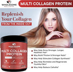 Wholesome Wellness Premium Multi Collagen Peptides Protein Powder for Women and Men, 5 Types of Hydrolyzed Collagen, Grass-Fed, Non-GMO & Unflavored, Pure Protein for Youthful Skin & Joint Recovery