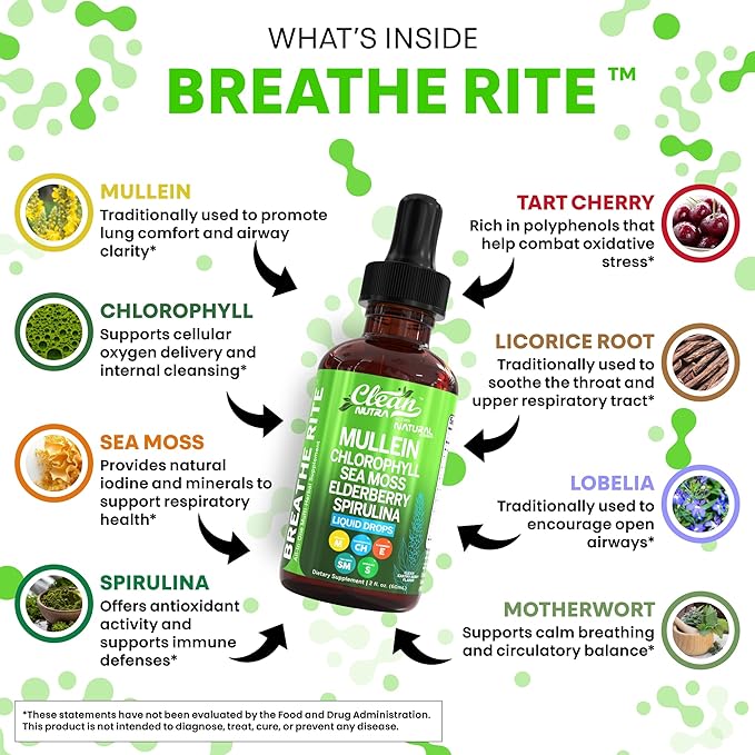 Organic Mullein Liquid Drops With Chlorophyll for Lung Detox Plus Irish Sea Moss, Spirulina, Licorice, Tart Cherry, Lobelia, Motherwort, And Elderberry For Men Women Health Supplement Vitamin (2)