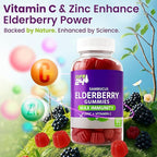 Sambucus Elderberry Gummies + Vitamin C + Zinc for Kids & Adults, X3 Immune Support, Natural Flavors + Ingredients, Vegan, Non-GMO, Made in USA (60)