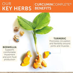 Himalaya Curcumin Complete - Herbal Joint Support Supplement with Turmeric Curcumin for Joint Health and Mobility Support, 95% Curcuminoids - Vegan, Non-GMO, Gluten Free, 60 Capsules