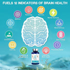 Brain Supplements for Memory and Focus, 21-in-1 Brain Supplement for Mental Alertness, Cognitive with 300mg Alpha-GPC, 300mg Lion’s Mane, L-Theanine, Phosphatidylserine, Vitamins B6 B12, 90 Capsules