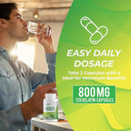 Leaping Lynx Quercetin with Bromelain – 800mg Quercetin + 165mg Bromelain | 120 Capsules (60-Day Supply) | Immune, Respiratory, and Seasonal Allergy Support | Antioxidant & Recovery Complex | Non-GMO