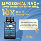 NAD Resveratrol Supplement for Women & Men. Support Cellular Health, Energy + Healthy Aging. High Potency Blend, Plus Third-Party Lab Tested in USA (120 Capsules)