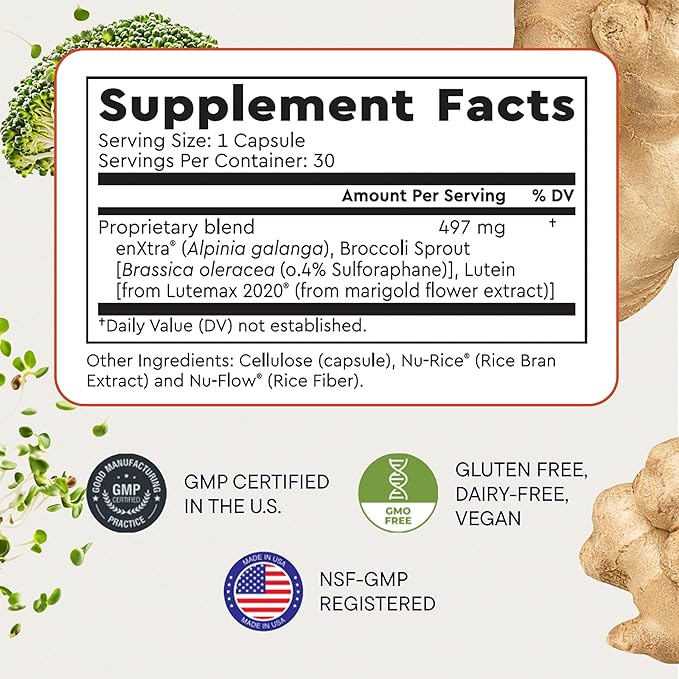Berkeley Life Cognitive Support Supplement for Memory & Focus - Brain Health Supplements Supports Memory Loss, Mental Clarity, Inability to Multitask & Loss of Speed - for Adults - 30 Capsules