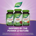 Nature's Way Zinc Gummies, Adult & Kids 9+ Immune Support Gummies*, 100% Daily Value per Serving, Mixed Berry Flavor, 120 Chews (Set of 2)