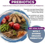 Vital Planet - Vital Flora Probiotics for Women Over 55 Daily Shelf Stable Probiotic 60 Billion CFU, 60 Diverse Strains, 7 Organic Prebiotics, Immune Support and Digestive Health 60 Capsules