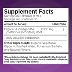 Ashwagandha KSM 66 Drops, 2000mg Natural Berry Flavor - Ashwagandha Supplements for Women, Ksm-66 Ashwaganda Extract for Immune Support, Performance, Heart Health - 60 Servings (Pack of 2)