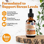 Rejuvica Health Active Iodine + Active Ashwagandha 4oz Bundle - Energy & Stress Support Bundle - Advanced Liquid Delivery