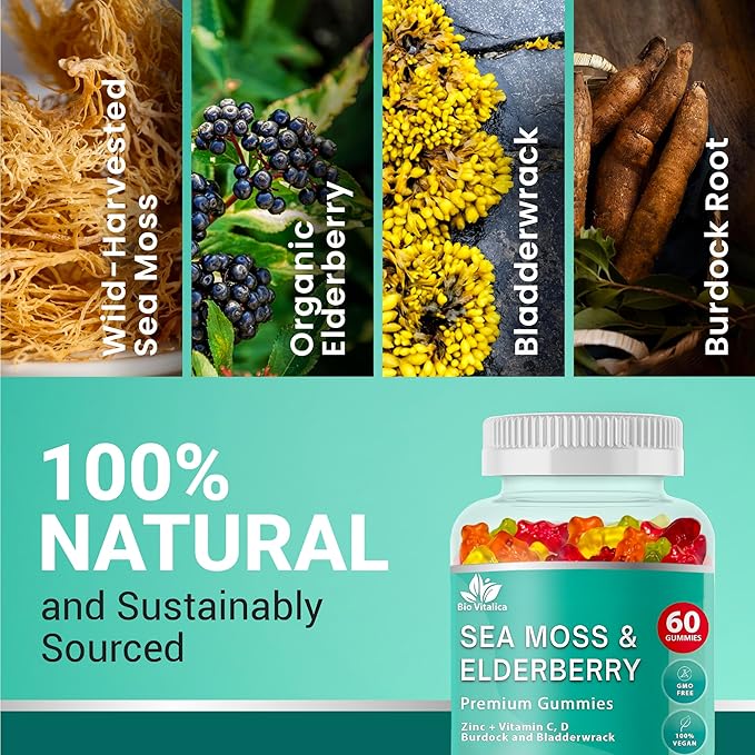BIO VITALICA Irish Sea Moss Gummies with Elderberry – USA Made Vegan Gummies with Vitamin C, D & Zinc – Immune Support Supplement with Bladderwrack & Burdock Root for Adults & Kids – 4 Packs