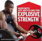 Force Factor Creatine Monohydrate Micronized Powder 500G, 5g Dose to Support Muscle Growth, Strength, Recovery, Cognitive Health & Memory, Unflavored, 100 Servings, 17.6 Oz