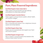 Pure Synergy Pure Radiance C | Organic Vitamin C Powder | 100% Natural, Whole Food, Non-GMO Supplement with Organic Camu Camu| for Immune and Collagen Support (3.1 oz Powder)