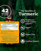 Herb Pharm Certified Organic Turmeric Root Extract for Musculoskeletal System Support - 1 Ounce (DTURM01)