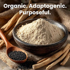 6-in-1 Organic Maca Root Ashwagandha Capsules 1710mg with DHEA and Black Pepper Fruit Extract for Women and Men - Black Maca Supplement for Stamina, Bone and Mood Support Supplement, 120ct (Pack of 2)