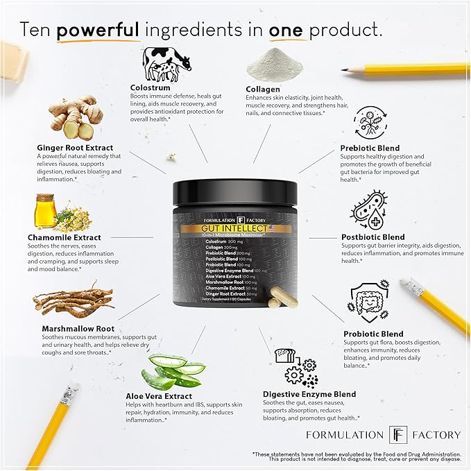 Formulation Factory Probiotics for Women & Men - Gut Intellect 10-in-1 Digestive Enzymes with Prebiotics and Postbiotics - Total Gut Health Supplement - 120 Capsules, 2 Month Supply