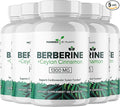 Pure Berberine Supplement - 1300mg Berberine with Ceylon Cinnamon for Metabolism & Immune System Support - 5 Pack, 300 Servings