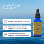 Eidon Ionic Minerals Copper - Copper Supplement, Liquid Concentrate, Mineral Dietary Supplement for Red Blood Cell Support & Healthy Skin - 2 Ounce Bottle