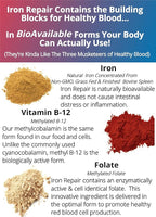 Iron Repair Plus Natural Iron Supplement, Best Absorption Gentle on Stomach, Monash Low FODMAP, Raise Hemoglobin & Ferritin for Women, Teens & Pregnancy Methylated B-12 & Folate, 90 Gelatin Capsules