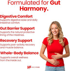 HealthFare L Glutamine 1000mg | 240 Vegan Capsules | Extra Strength Amino Acid Supplement | Supports Digestive Balance, Nutrient Absorption & Muscle Recovery | Non-GMO, Gluten-Free | Made in USA