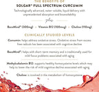 Solgar Full Spectrum Curcumin Brain Works, 90 Licaps - Support Memory Recall, Focus, Cognitive Function - Antioxidant Support - Curcumin, BacoMind, Choline, Vitamin B12 - Non-GMO, Vegan - (Pack of 2)