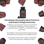 Pure Sundried Himalayan Shilajit Gummy for Men & Women | Organic Shilajit Gummies | Natural 85 Plus Trace Minerals Fulvic Acid | Energy, Immunity | Sugar-Free 60 Healthy Gummy