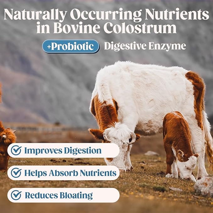 Organic Chocolate 4000mg Grass Fed Bovine Colostrum Powder + Probiotics Colostrum Supplement for Gut Health, Immune Support Healthy, 70 Servings