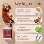 Apothékary Wine Down, Natural Sleep and Relaxation Support, Alcohol-Free Red Wine-Inspired Herbal Liquid Drops, Consists of Blue Vervain, Tart Cherry, and California Poppy, 4 oz, 100 Servings