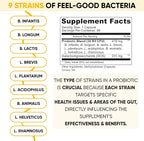 Lifted Naturals Mood Boosting Probiotic 30 Billion CFU - Mood Support Supplement, Prebiotics and Probiotics for Women & Men, Acidophilus Lactobacillus Probiotic, Shelf Stable & Non-GMO, 60 Capsules