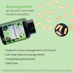 Organic Ashwagandha Capsules 2100mg | Stress Relief Supplement | Extra Strength, 100% Herbal, Energy, Mood & Cortisol Manager, Includes Black Pepper for High Absorption | Non-GMO, 90 Ct