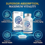 Liposomal NAD+ Supplement 500mg, Nicotinamide Adenine Dinucleotide for Cellular Energy and DNA Health, NMN Alternative for Healthy Aging and Focus, Enhanced Absorption, 120 Capsules, 2 Month Supply