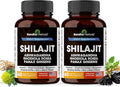 Shilajit Pure Himalayan for Men & Women | 120 Capsules with Ashwagandha | High Potency and Energy Supplement | Better Absorption than Gummies | For Extra Power and Stamina | Combo with Sea Moss