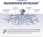 Host Defense Stamets 7 Mushroom Powder - 7 Species Blend - Mushroom Supplement for Immune Support with Royal Sun Blazei, Cordyceps, Reishi, Maitake, Lion's Mane, Chaga & Mesima - 3.5 oz (66 Servings)*