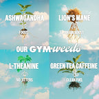 GYM WEED Athletic Focus Drink with KSM-66 Ashwagandha, Lion's Mane Mushroom, L-Theanine, 200mg Green Tea Caffeine with Natural Sweeteners Sour and Sweet Variety of Flavors, 12 Pack