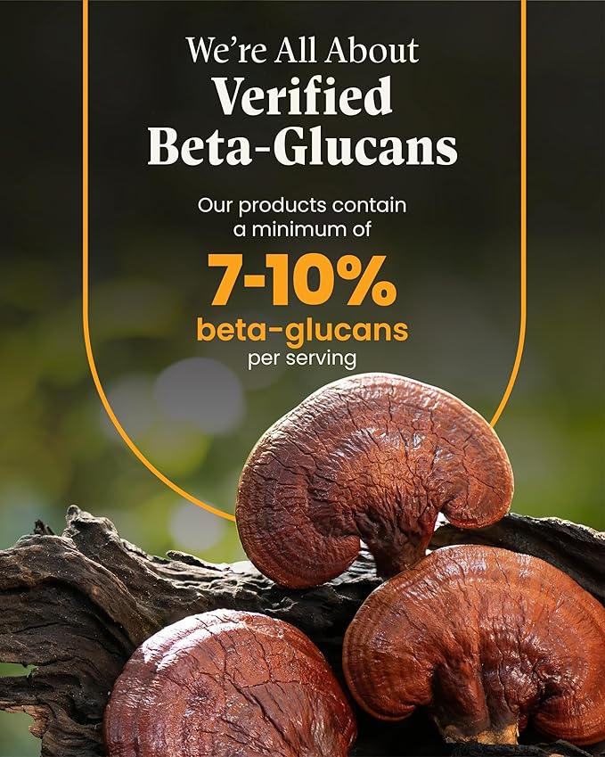 Mushroom Wellness Lion’s Mane Blend with Reishi: Organic Lion's Mane & Reishi Mushroom Capsules, Mushroom Powder Supplement, Supports Cognitive Health, Memory, and Mental Focus, 90 Vegan Capsules