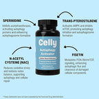 Celly Autophagy Activator | Longevity Supplement for Cellular Nutrition and Healthy Aging | Promotes Cell Renewal with Spermidine, Pterostilbene, Fisetin, and NAC | Made in USA & 3rd Party Tested