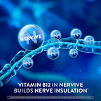 Nervive Nerve Health, Alpha Lipoic Acid, Fortify Nerve Health, Healthy-Function, Healthy Blood Circulation, Supplement, Tablet, 60 Tablets, (Pack of 2)