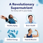 TRU NIAGEN Patented NAD Supplement for Brain Function, Anti Aging & Cell Regeneration, 300mg Niagen, 30 Servings | Supports Cellular Energy, Muscle | Nicotinamide Riboside (NR) Take 1 Daily | 3 Bottle