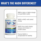 MAAC10 NADH + CoQ10 Chewable Tablets (3-Pack - 180 Tablets) | 50mg PANMOL® NADH + 100mg CoQ10 Supports Fatigue, Energy and NAD+, Non-GMO, Gluten Free, Vegetarian (3 Month Supply)